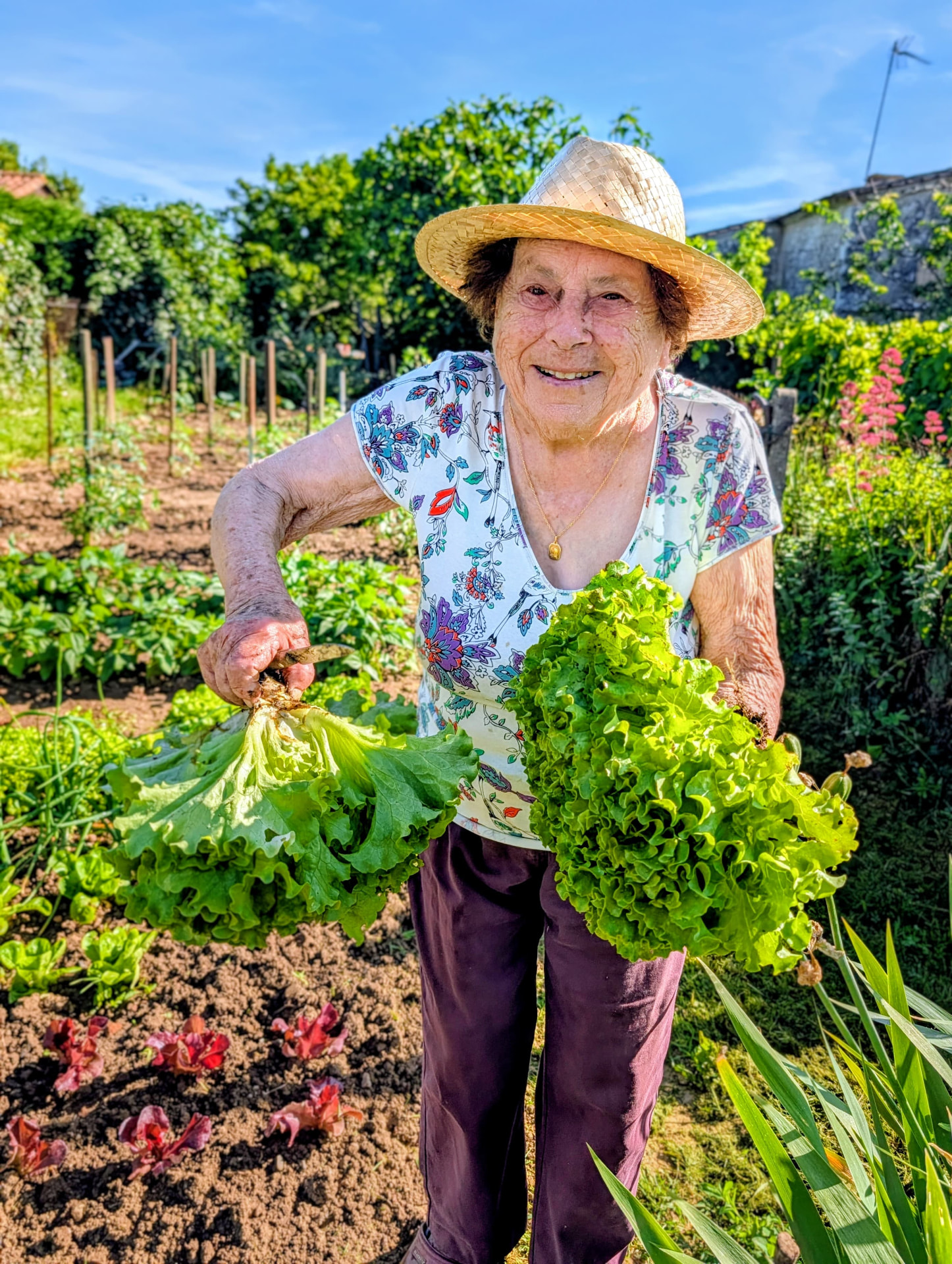 Yvette holding freshly picked lettuces in the kitchen garden